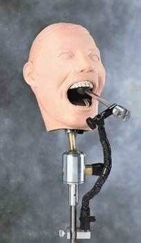 Dental care training manikin / head M-1974 Columbia Dentoform®