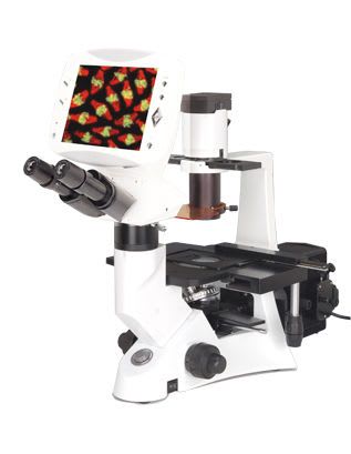 Laboratory microscope / fluorescence / binocular / inverted DMS-851 Alltion (Wuzhou)