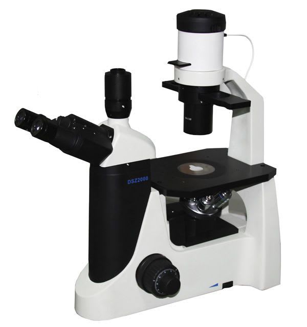 Laboratory microscope / fluorescence / binocular / inverted DSZ-2000X Series Alltion (Wuzhou)