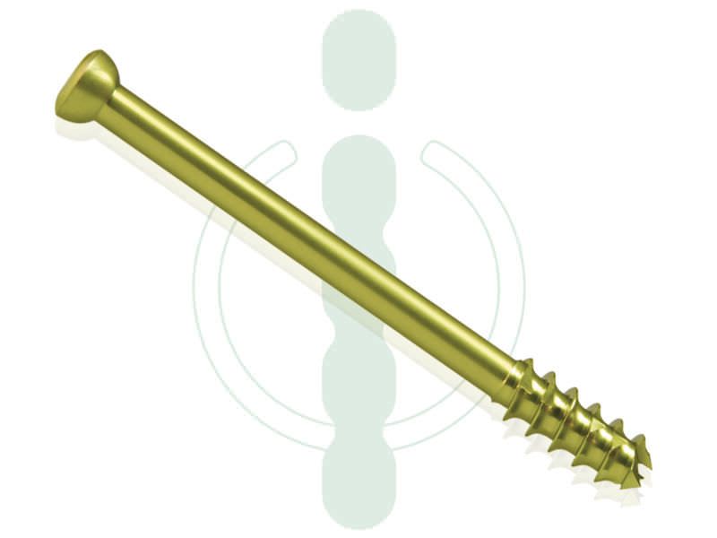 Not absorbable cannulated bone screw 7 mm INTERCUS