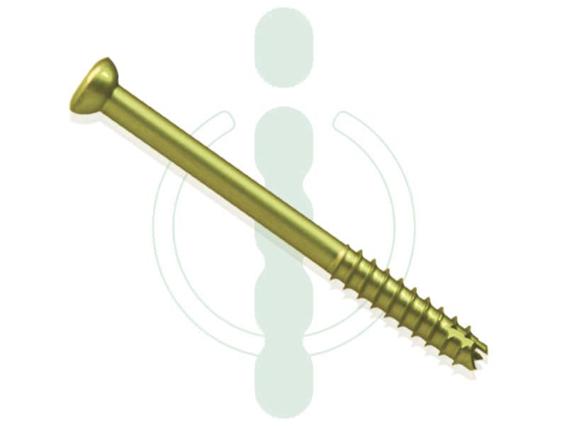 Not absorbable cannulated bone screw 4 mm INTERCUS