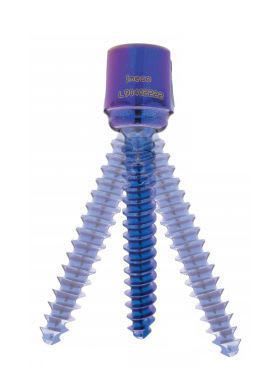 Polyaxial pedicle screw / not absorbable IMECO