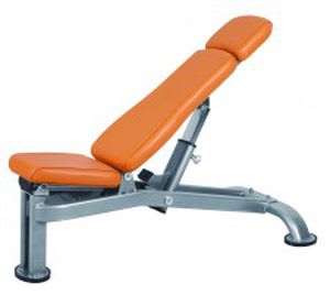 Weight training bench (weight training) / traditional / adjustable BH-ALA-S624 Alexandave Industries