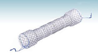 Esophageal stent CHOOSTENT® CCC M.I Tech