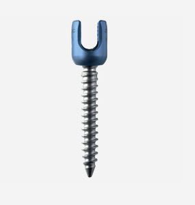 Polyaxial pedicle screw / not absorbable AEGIS II Corentec