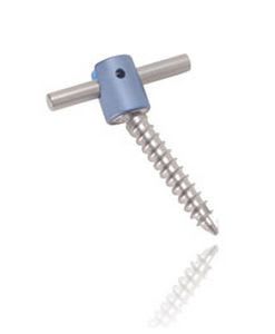 Polyaxial pedicle screw / not absorbable INITIAL Innov'spine