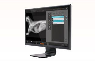 Analysis software / reporting / medical / for veterinary imaging QuantorVet+ 3Disc Imaging