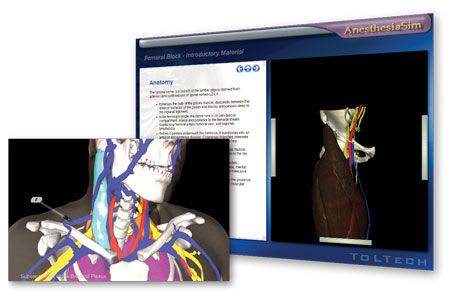 Lumbar puncture training simulator / venous vascular access / multiparametric OPUS™ Mini TolTech