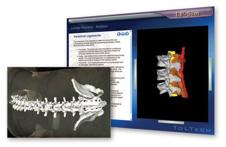 Multiparametric training simulator / venous vascular access / for lumbar puncture OPUS™ TolTech