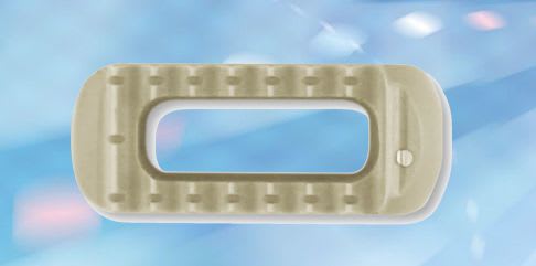 Thoraco-lumbar interbody fusion cage Futago™ Shanghai Microport Orthopedics Co.,Ltd