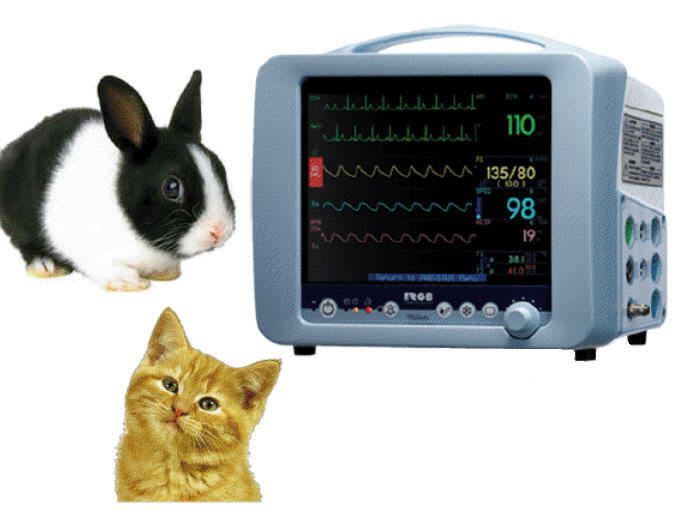 Compact multi-parameter monitor / veterinary OMICROM® VISION VET RGB Medical Devices