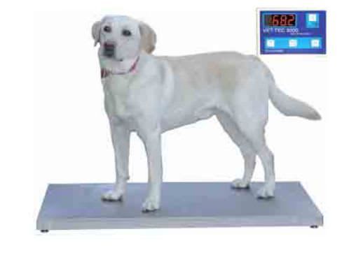 Veterinary platform scale / electronic 404ES Petlift