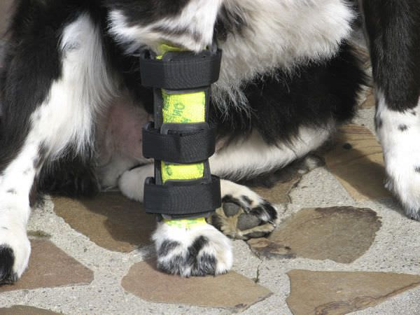 Carpal tunnel veterinary splint / for canines Orthovet