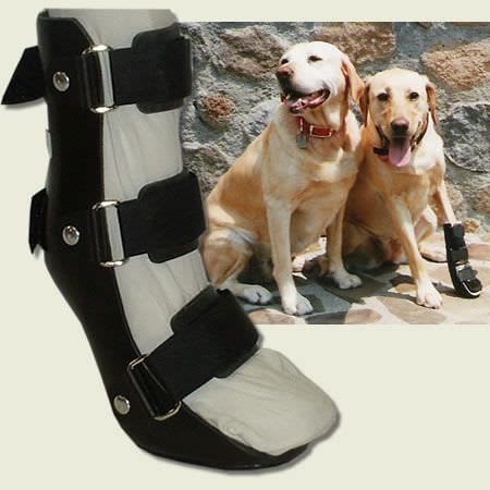 Leg veterinary splint / for canines FRONT Orthovet