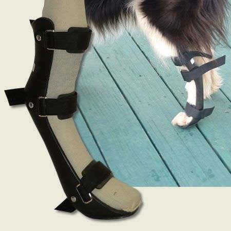 Leg veterinary splint / for canines REAR Orthovet