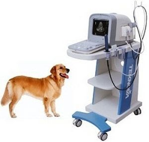 Portable veterinary ultrasound system TH-100VET Teknova Medical Systems