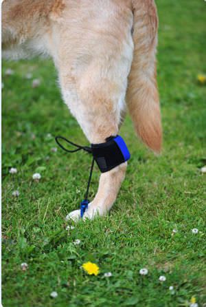 Reeducation sling / dog Toe-Up OrthoPets Europe