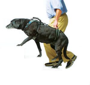 Reeducation sling / dog Help'EmUp OrthoPets Europe
