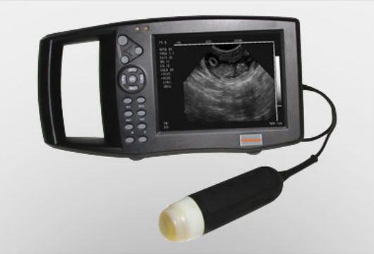 Hand-held veterinary ultrasound system SONOPALM HD 9200VET Caresono