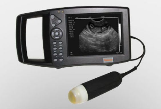 Hand-held ultrasound system / for multipurpose ultrasound imaging HD 9200 Caresono