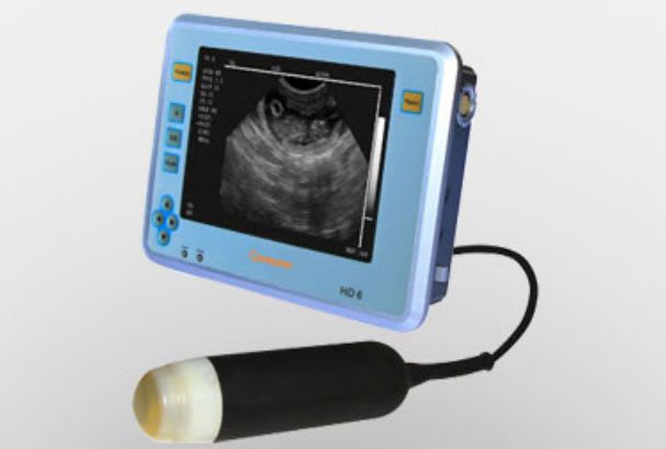 Hand-held veterinary ultrasound system SONOPALM HD 6VET Caresono
