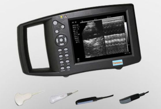 Hand-held veterinary ultrasound system HD 9300VET Caresono