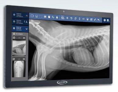 Viewing software / for veterinary imaging Smart DR™ Sound-Eklin