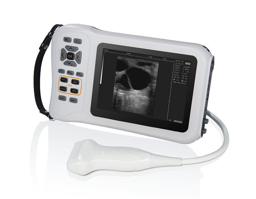 Hand-held veterinary ultrasound system SonoMaxx® 100 BMV Technology