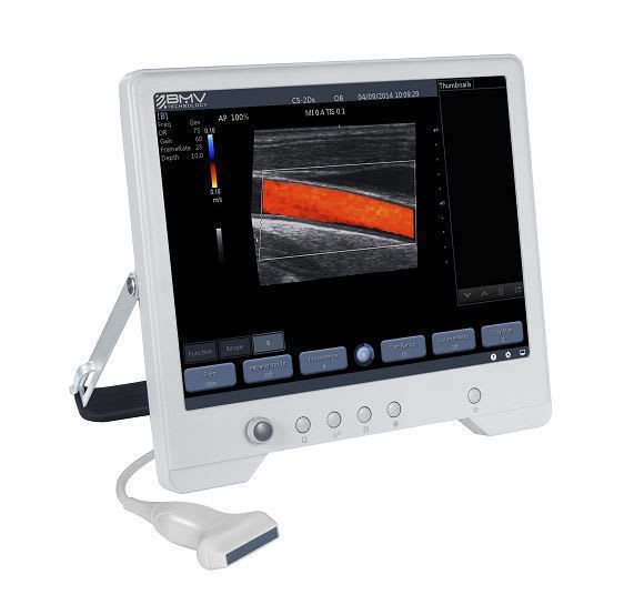 Hand-held veterinary ultrasound system / portable TouchScan® TS30A BMV Technology