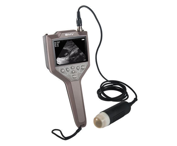 Hand-held veterinary ultrasound system FarmScan® M30 BMV Technology
