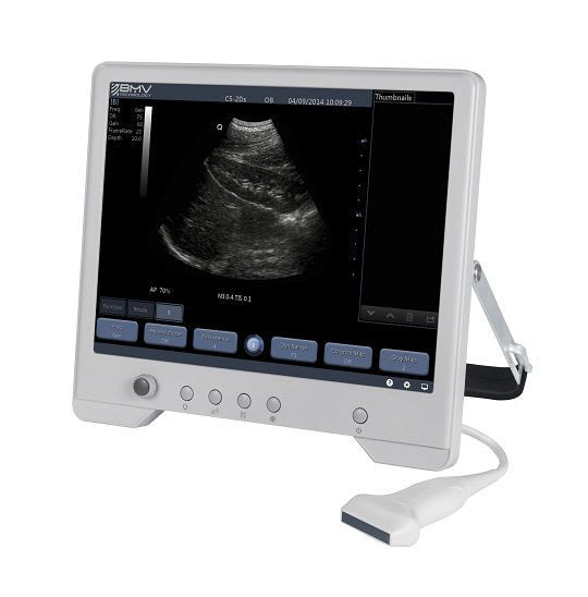 Hand-held veterinary ultrasound system / portable TouchScan® TS20 BMV Technology