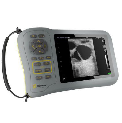 Hand-held veterinary ultrasound system FarmScan® L70 BMV Technology