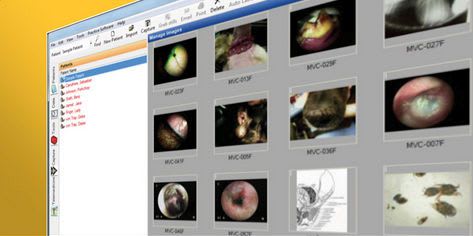 Sharing software / for archiving / acquisition / viewing VetScope Otopet USA