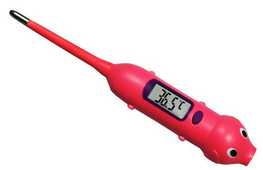 Medical thermometer / electronic / with audible signal 32 °C ... 42.9 °C | ST8C-Pig Mesure Technology