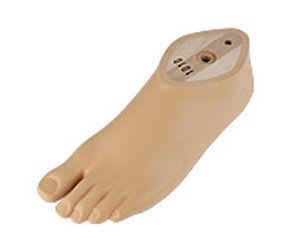 Foot prosthesis (lower extremity) / silicone / single-axis / class 2 1D10, 1D11 Ottobock