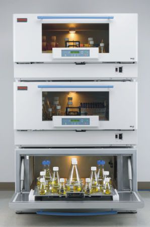 Laboratory incubator shaker -5 °C ... +60 °C, 25 - 400 rpm | MaxQ™ 8000 Thermo Scientific