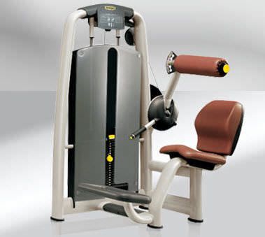 Weight training station (weight training) / back extension / traditional Selection Technogym