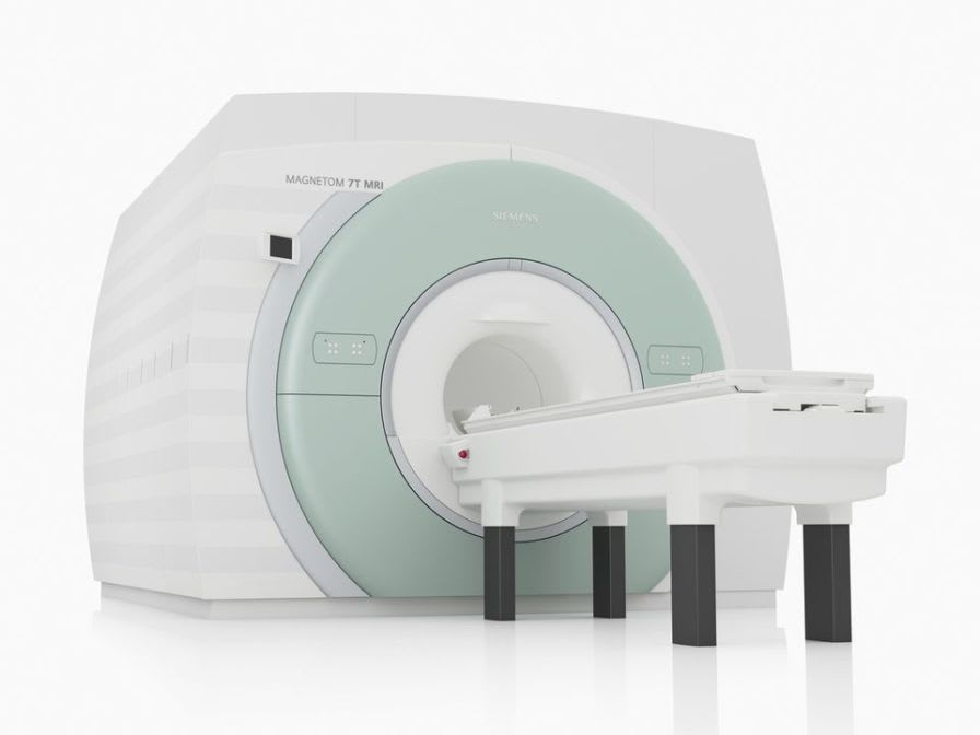 MRI system (tomography) / for brain tomography / ultra-high field / standard diameter MAGNETOM 7T Siemens Healthcare