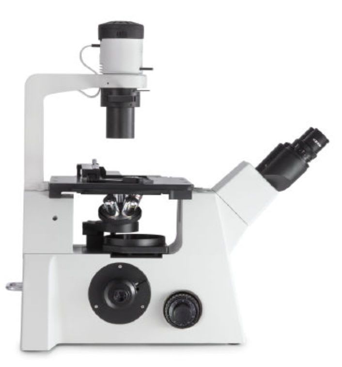 Laboratory microscope / optical / phase contrast / binocular OCO-2 KERN & SOHN