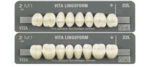 Acrylic resin dental prosthesis VITA LINGOFORM® VITA Zahnfabrik H. Rauter GmbH & Co.KG