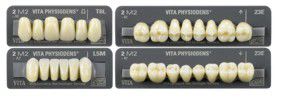 Acrylic resin dental prosthesis VITA PHYSIODENS® VITA Zahnfabrik H. Rauter GmbH & Co.KG