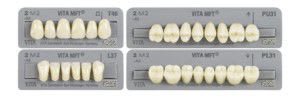 Acrylic resin dental prosthesis VITA MFT® VITA Zahnfabrik H. Rauter GmbH & Co.KG