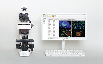 Laboratory microscope / digital / binocular Vision Bio® Epi Analysis West Medica
