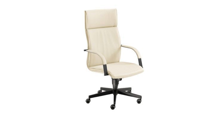 Executive chair / with high backrest / on casters / with armrests SILVER Favero Health Projects