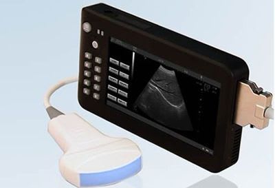 Hand-held veterinary ultrasound system KJ-902 Xuzhou Kejian Hi-tech