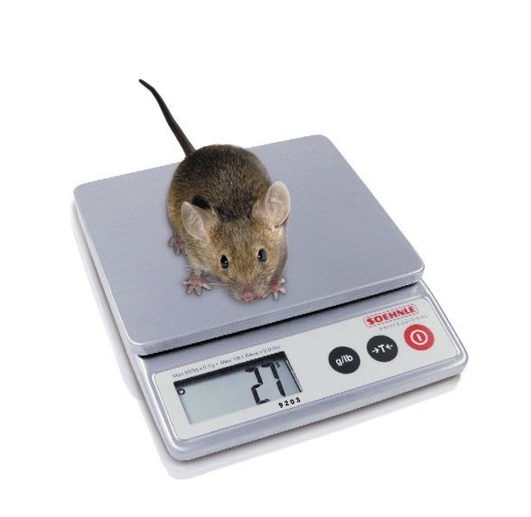 Small animal balance / electronic / compact 5 Kg | 9203.10 Soehnle Industrial Solutions GmbH