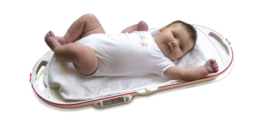 Electronic baby scale / folding 15 Kg | 8320 Soehnle Industrial Solutions GmbH