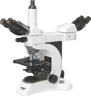 Laboratory microscope / with discussion bridge MP-10DUAL The Western Electric & scientific Works
