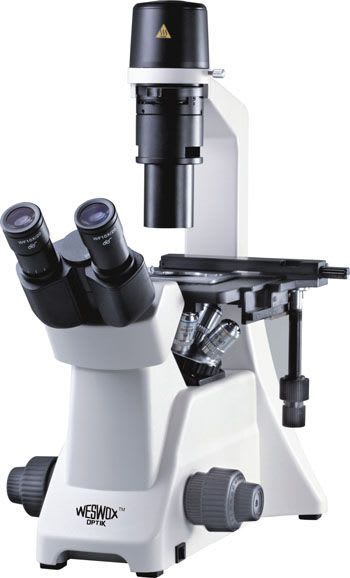 Laboratory microscope / Siedentopf type / trinocular / inverted WTC 6000 The Western Electric & scientific Works