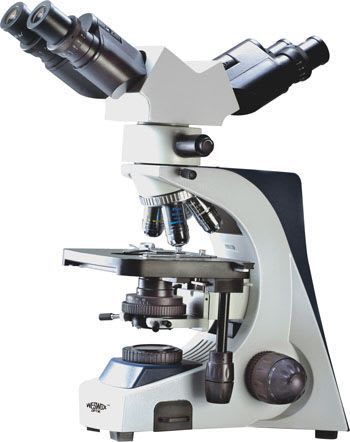 Laboratory microscope / with discussion bridge BXL-DUAL The Western Electric & scientific Works